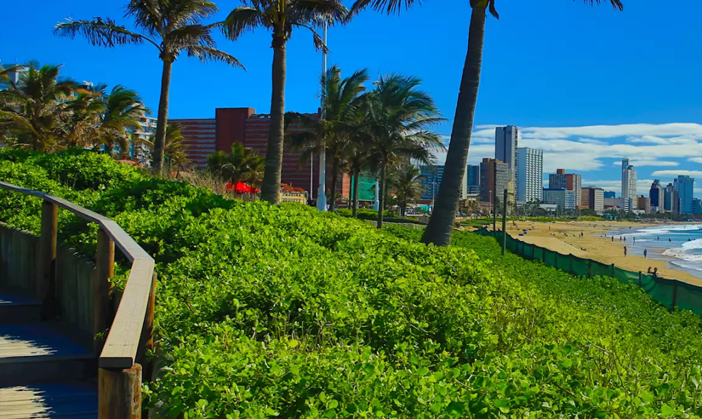 Strategic Investments to Drive  Sustainable Growth on the South Coast